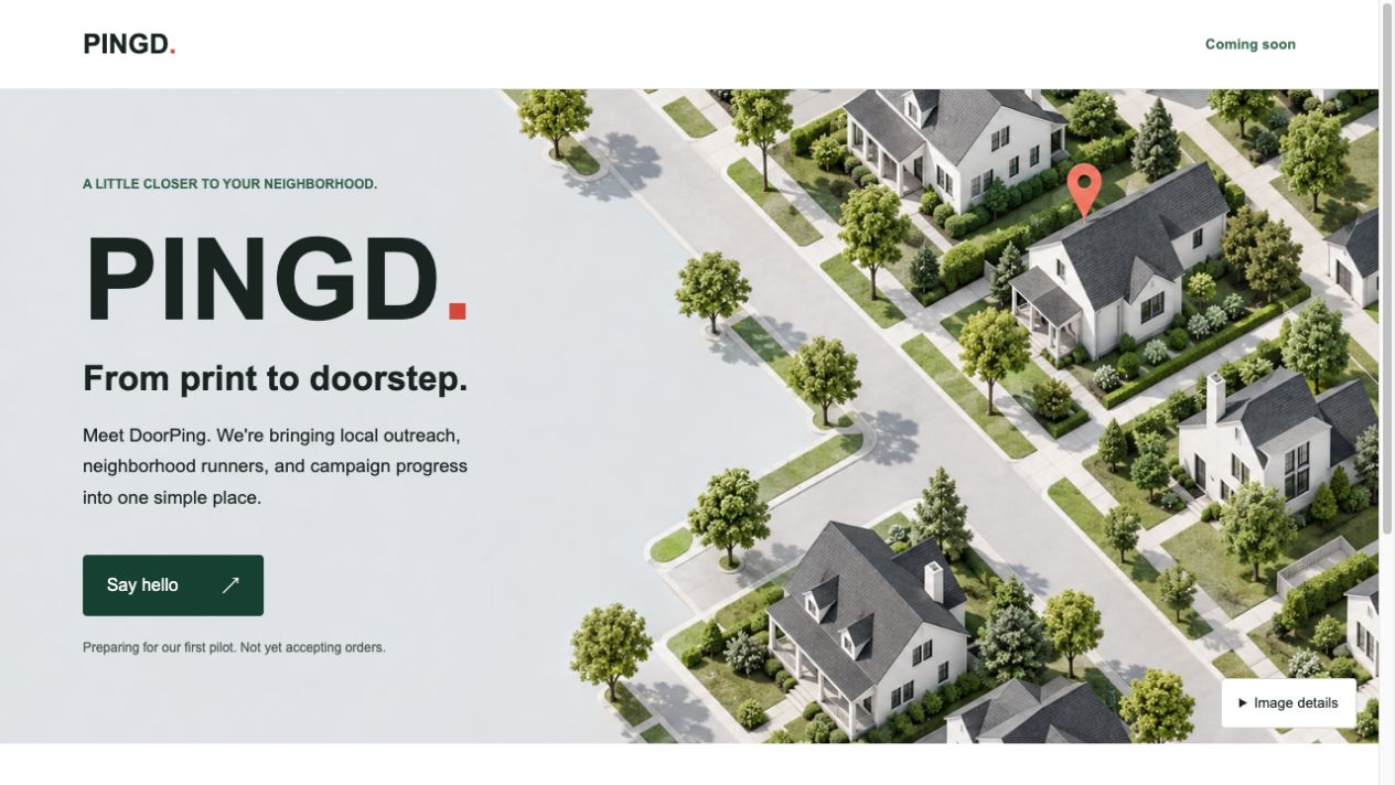 PINGD homepage — screenshot with the website’s text, navigation and hero artwork